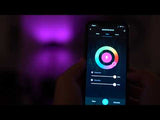 ILLUMINESSENCE SMART LED A19 E27 + LIGHTSTRIP LED